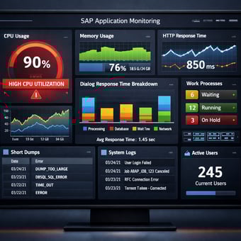 SAP Application Performance Monitoring