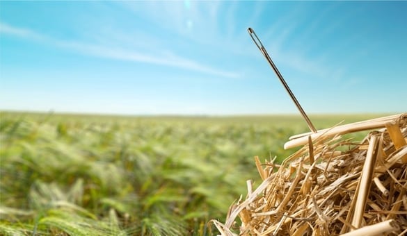 needle-in-a-haystack