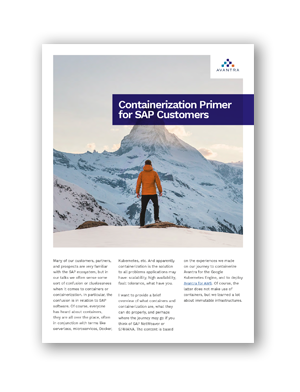 Read Avantra's Containerization E-Book. 
