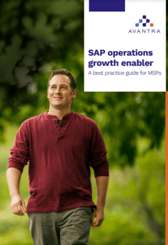 MSP Ebook cover