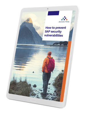 Read the SAP security vulnerability ebook