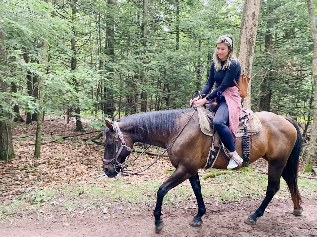 Marlene horse