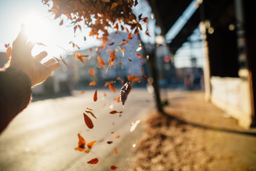 sap operational transparency