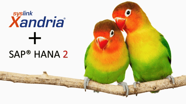 Parrots Xandria HANA 2.png