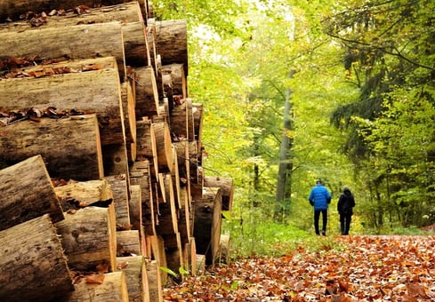 S4 HANA log pile with people walking