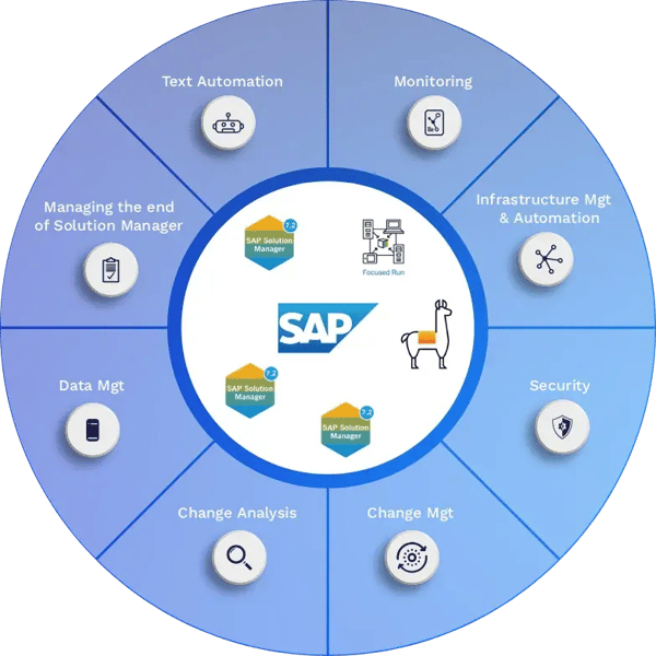 wp-end-of-solman-diagram-2025