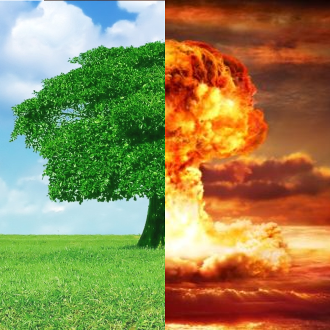 Expert Panel Webinar: Der Tag nach dem Go-Live von S/4HANA