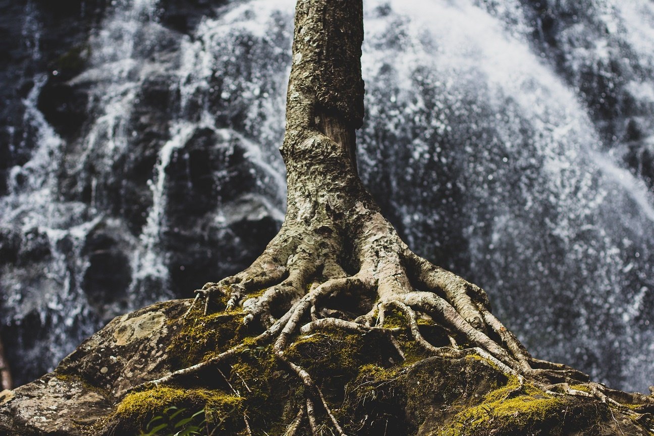 Featured Image