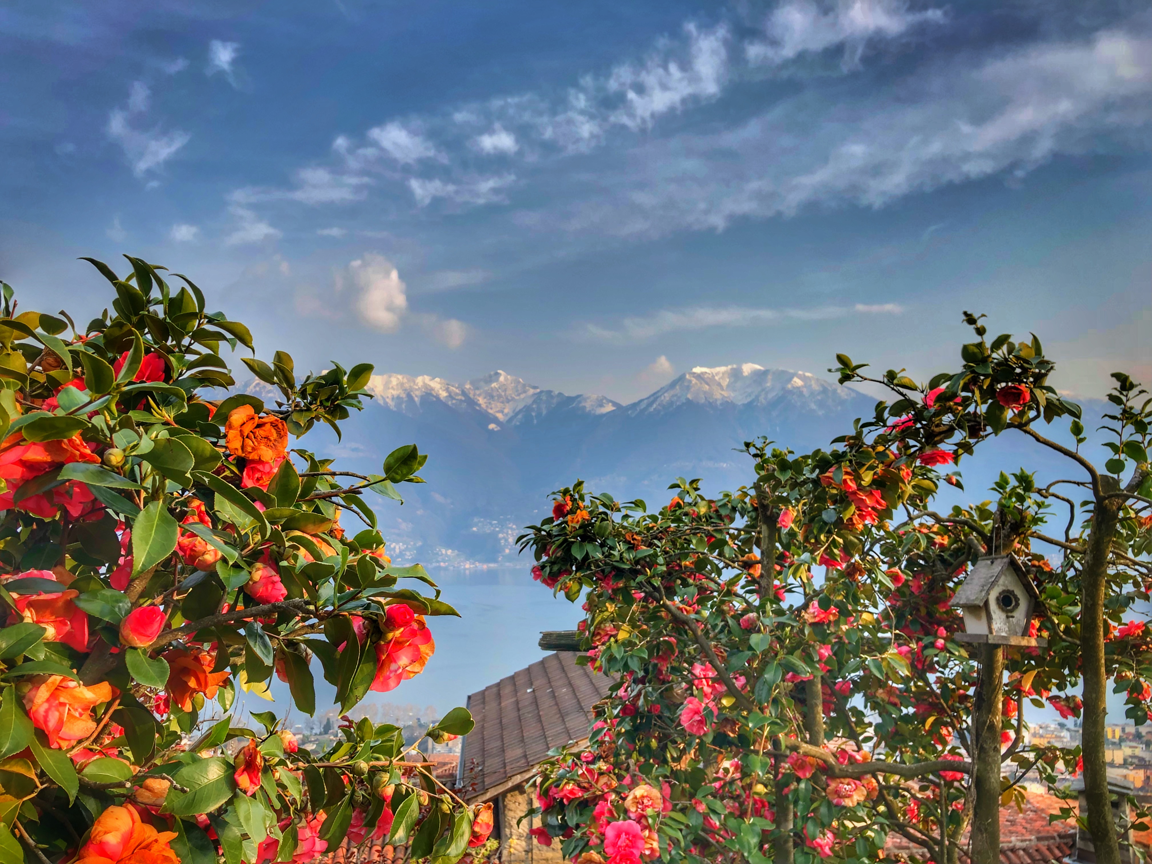 Featured Image