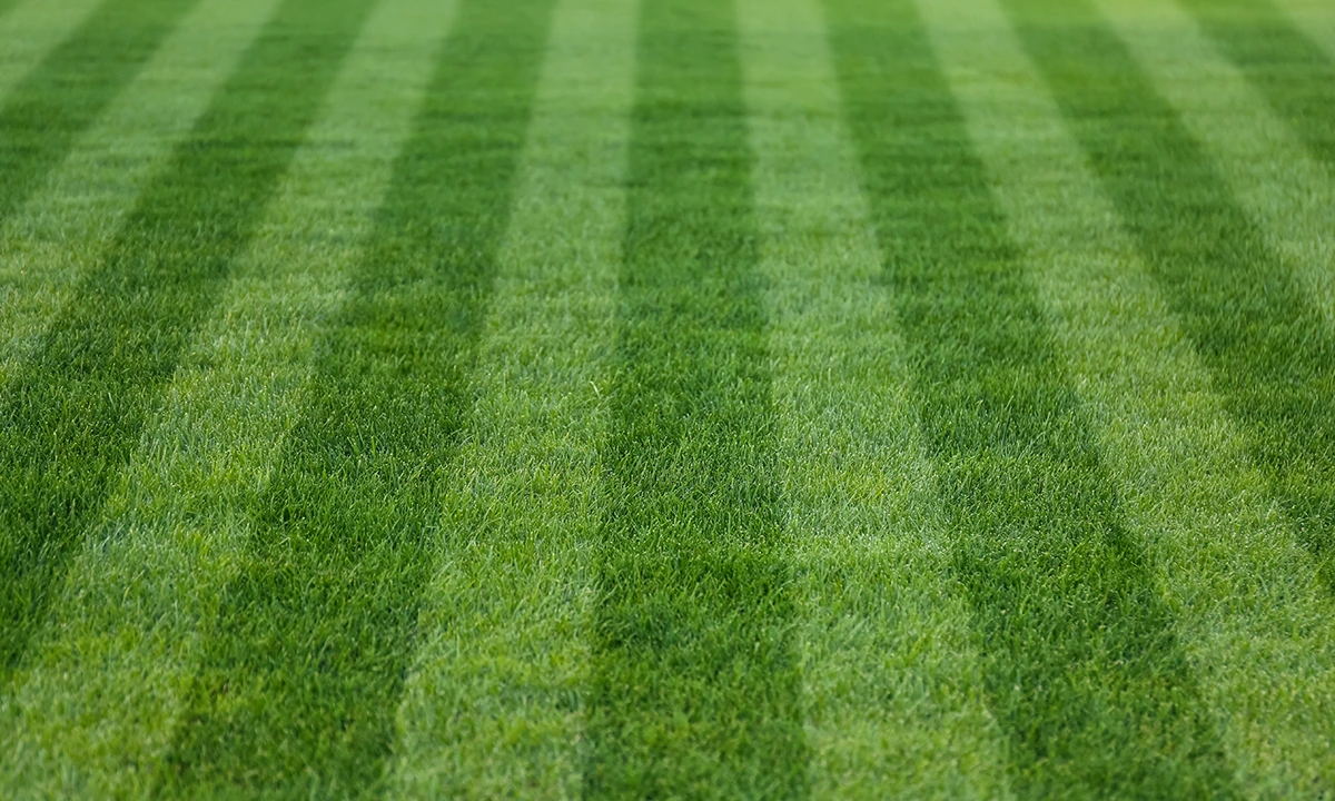 Scotts Miracle-Gro