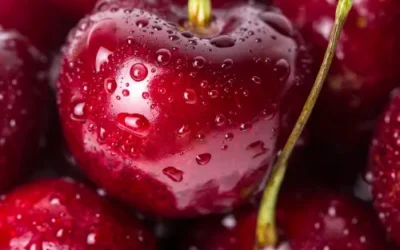 Real-Time SAP Insight, Zero Downtime: Coop Group’s Journey to SAP Operational Excellence