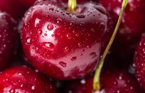 Coop-group featured image