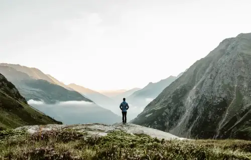 Paz oil featured image