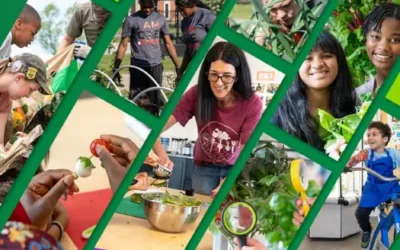 Observability in Action: Scotts Miracle-Gro’s Journey to 90% SAP Efficiency Gains