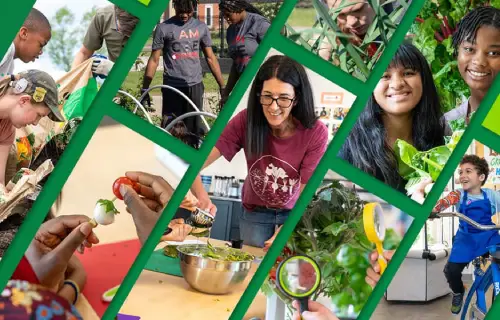 ScottsMiracle Grow-featured image