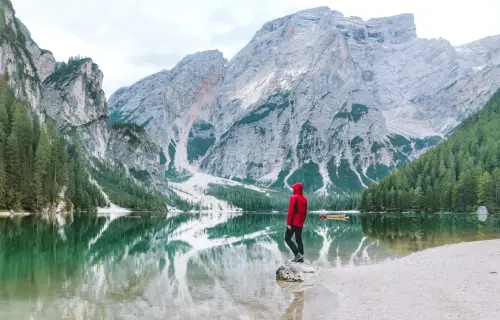 Shutterfly featured image