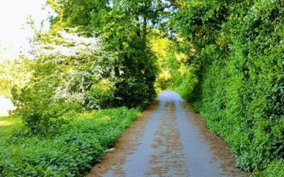 Linux Eases the Migration Path to SAP S/4HANA