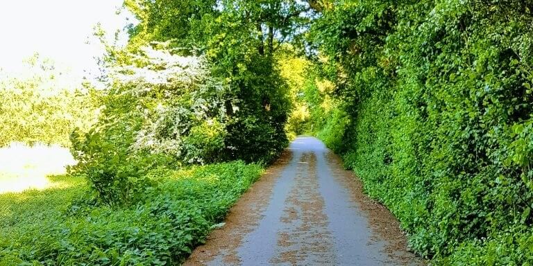 Linux Eases the Migration Path to SAP S/4HANA