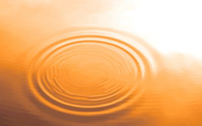 Les entreprises bénéficient d'une sécurité renforcée grâce à la dernière version d'Avantra