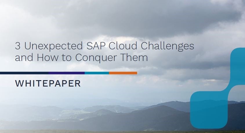 Avantra smart cloud automation SAP challenges white paper
