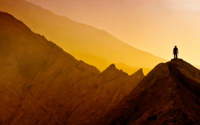 SAP Focused Run Monitoring