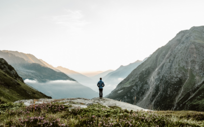 SAP Systems Monitoring in Focus – The Story of Scheer Group