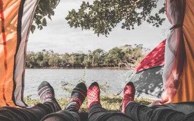 SAP cloud automation – behind the scenes