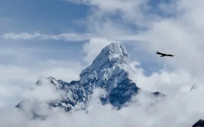 3 unexpected SAP cloud challenges &amp; how to conquer them