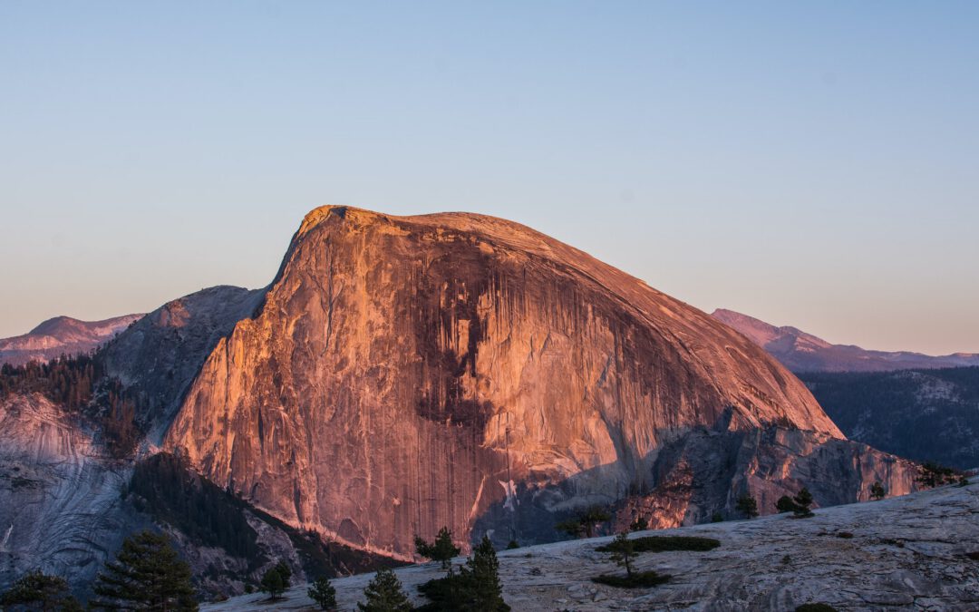 Israel’s Largest Food Company Improves SAP performance Monitoring Reliability and Employee Productivity