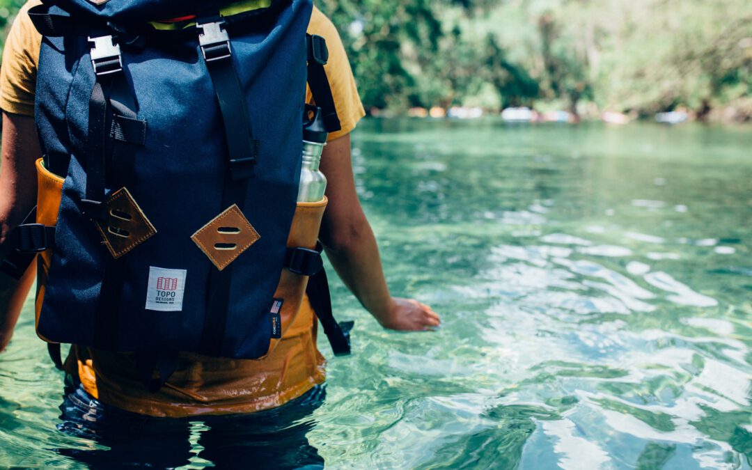 SAP Reporting vs. SAP Monitoring