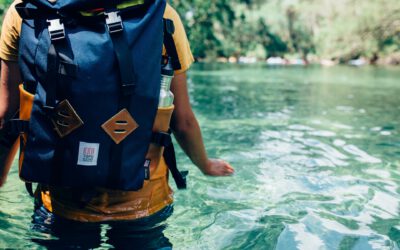 SAP Reporting vs. SAP Monitoring