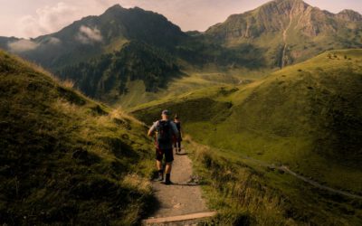 50,000 companies exposed to SAP systems hacks – what can you do?