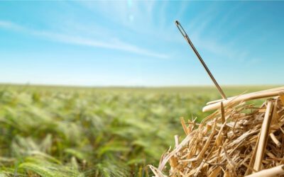 SAP Business services management – focus on the right issues