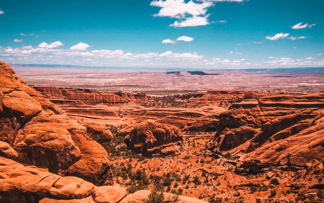 How SAP Automation is Saving Companies Money