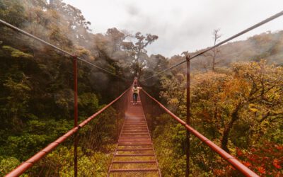 Hunting for the Humanity and Cognitive Power within our Tech Futures