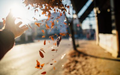 Integrating ServiceNow actions with Avantra’s SOAP API