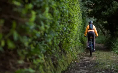 How to prevent SAP security vulnerabilities