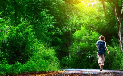 Remove silos and create a powerful ecosystem for SAP operations teams