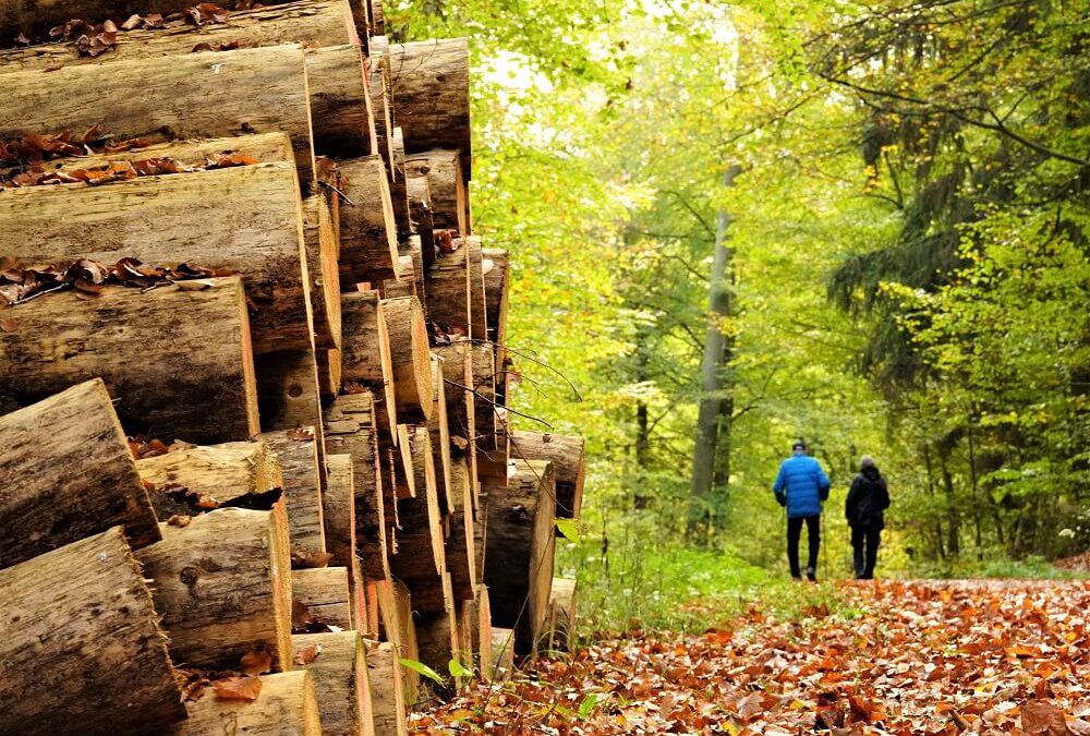 Ensure HANA migration success: What to do before, during and after