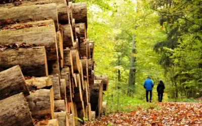 S/4HANA migration with Avantra