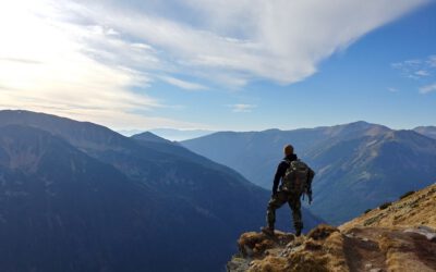 SAP &amp; SAP BASIS Explained