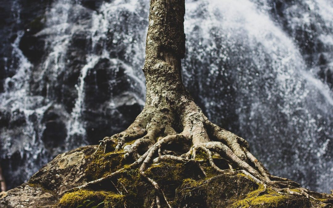 3 Unique Challenges in Determining SAP Root-Cause Analysis